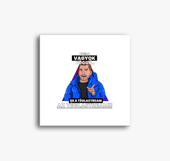 Ne sem - slika na pl