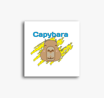 Capybara slika na pl