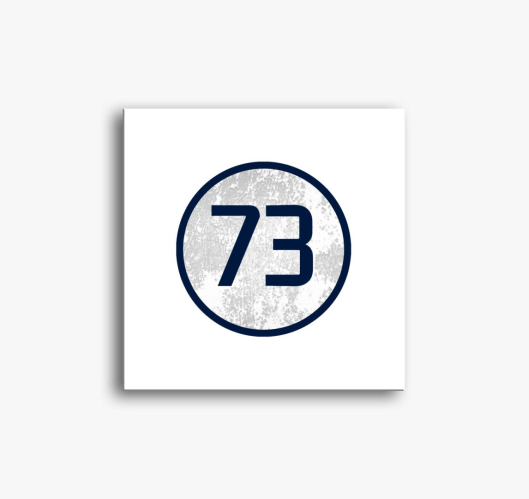 73 (Sheldon) modra slika na pl...