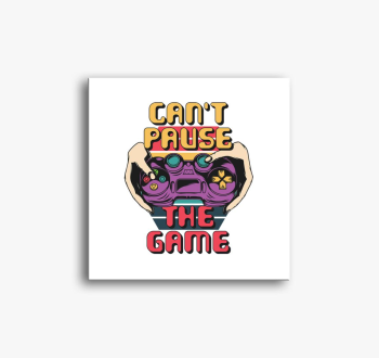 Can't pause the game...