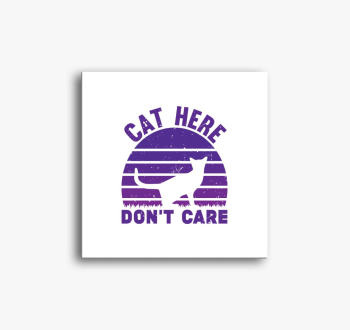 Cat here don't care ...