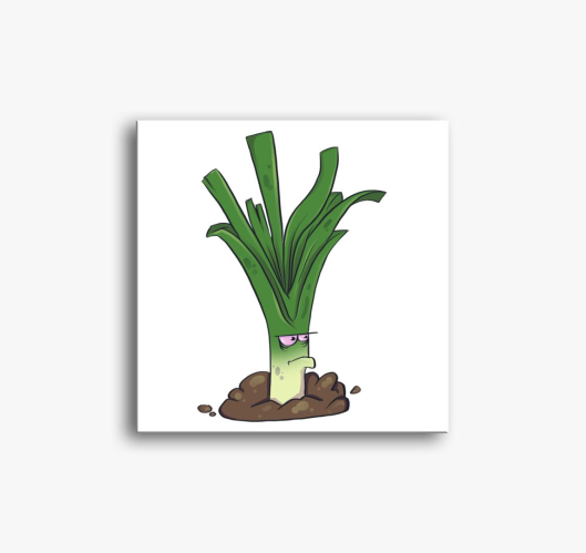 Morcos Hagyma slika na platnu