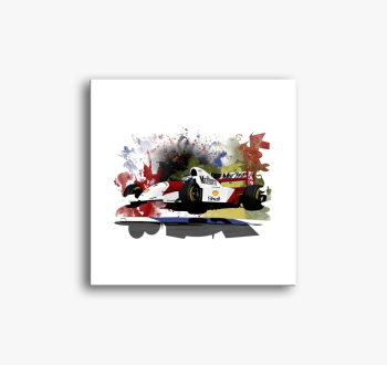 Mika Hakkinen slika na platnu