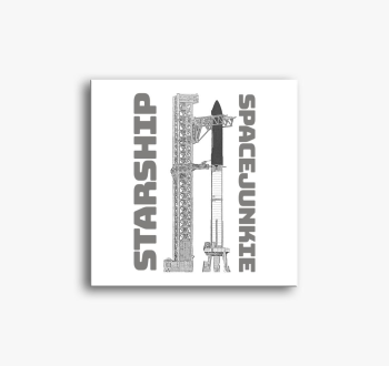 Spacejunkie Starship...