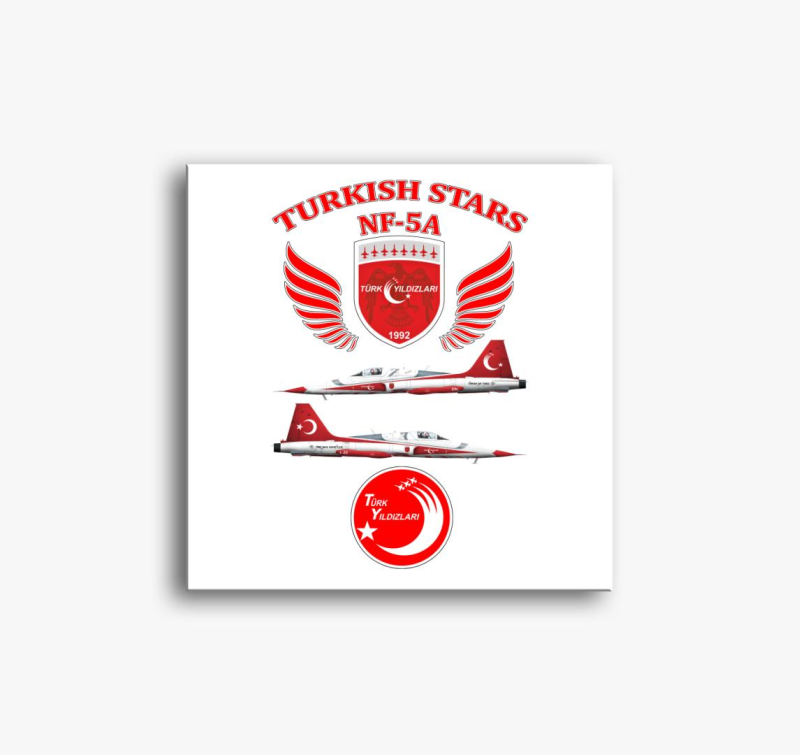 Turkish Stars slika na platnu