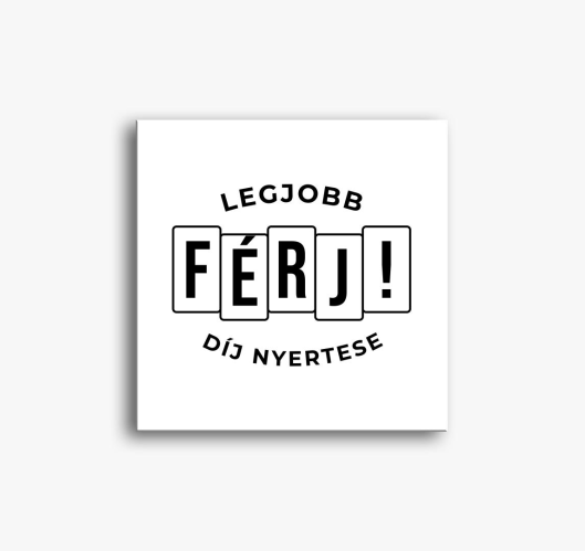 LEGJOBB (BSTS) slika na platnu