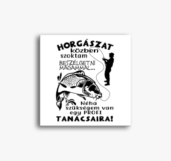 szoktam magammal slika na platnu