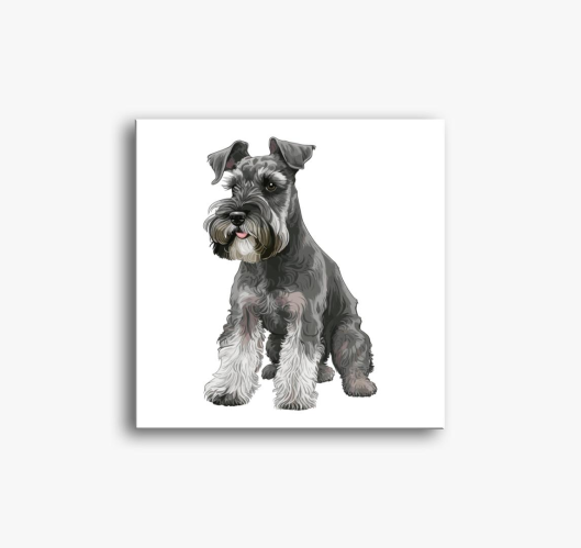 Schnauzer slika na platnu