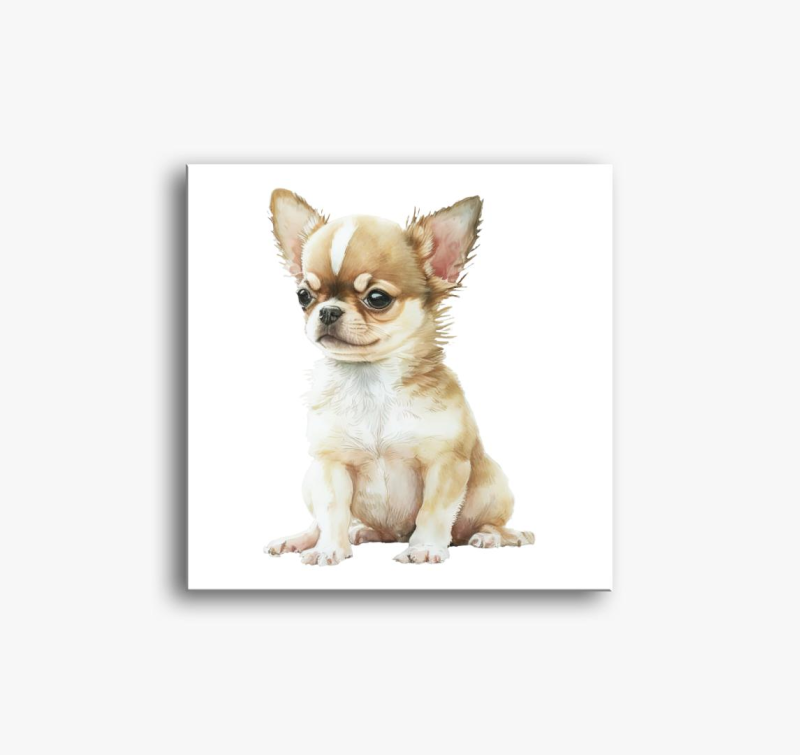 Csivava akvarell slika na platnu