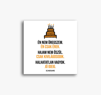 Ne (BRTH) slika na p