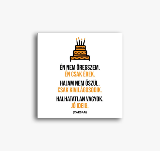 Ne (BRTH) slika na platnu