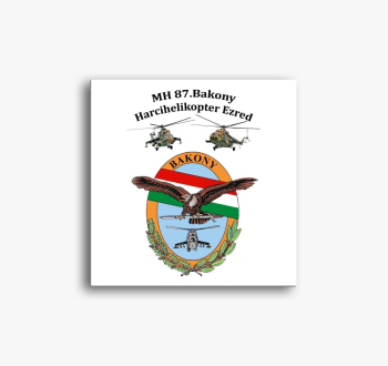 MH 87. Bakony Harcihelikopter Ezred slika na platnu