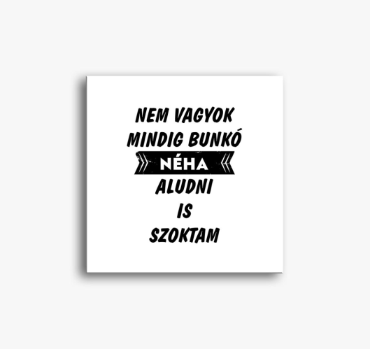 Ne sem mindig slika na platnu