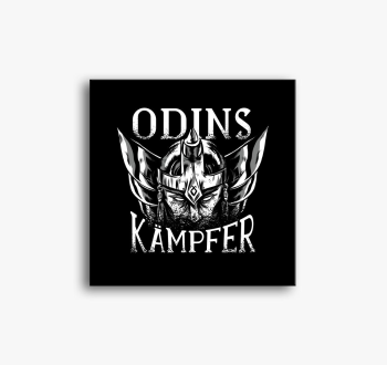 Odin harcosa sisak s...