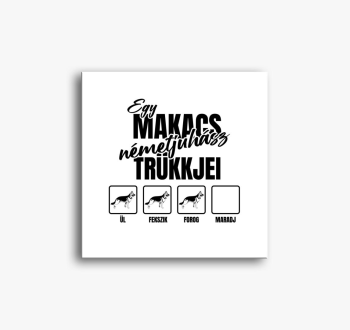 makacs slika na plat