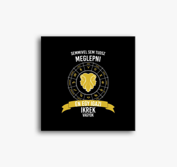 Igazi ikrek sem - ikrek slika na platnu