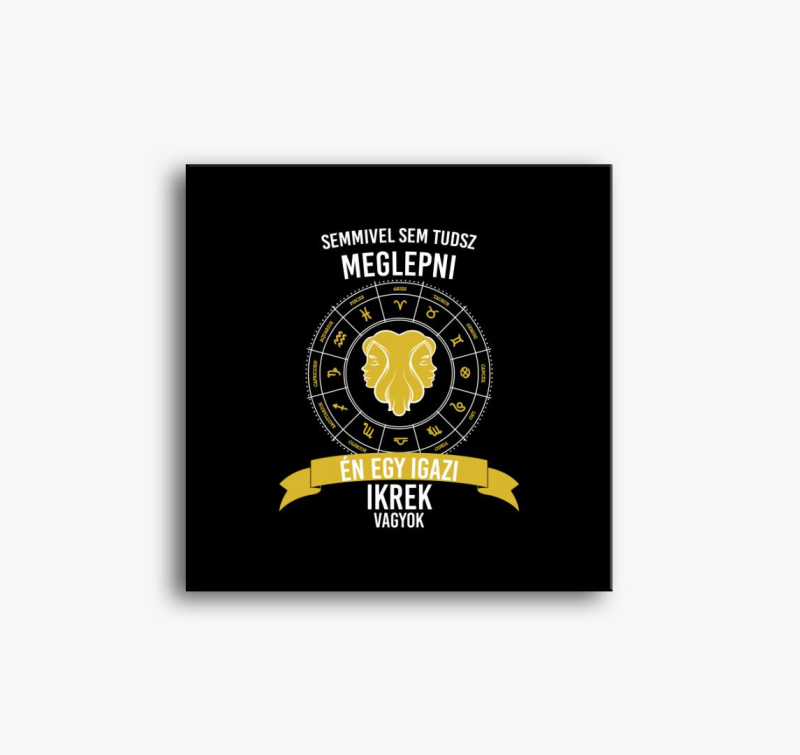 Igazi ikrek sem - ikrek slika na platnu