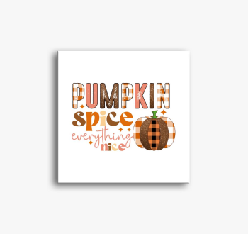 pumpkin spice nice s...