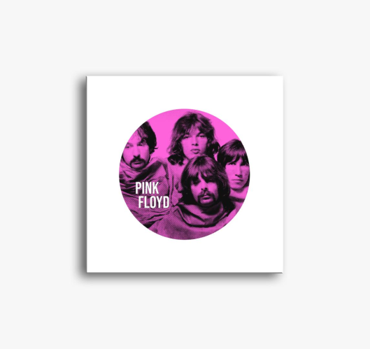 PINK FLOYD (FMS) slika na plat...