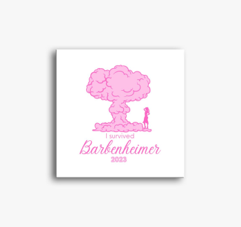 I survived Barbenhei...