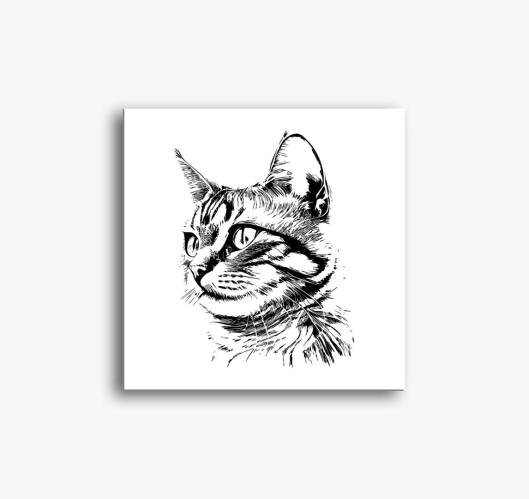 Aranyos cica 2 slika na platnu