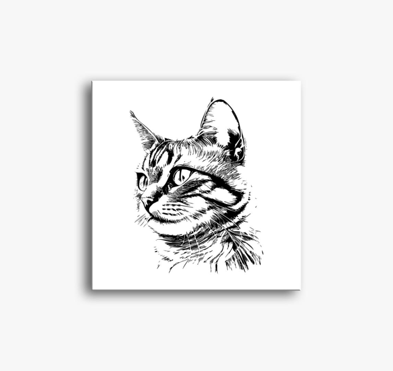 Aranyos cica 2 slika na platnu