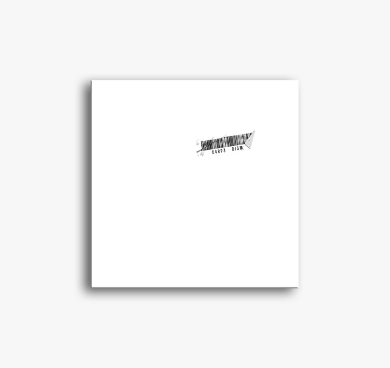 Carpe diem white sticker slika na platnu