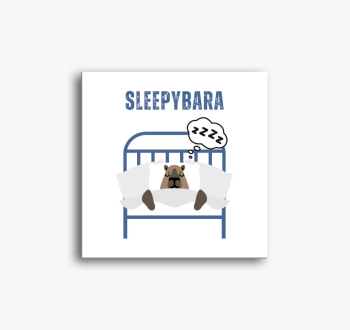 Sleepybara slika na 