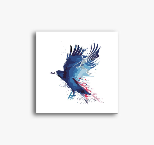Splash crow slika na platnu