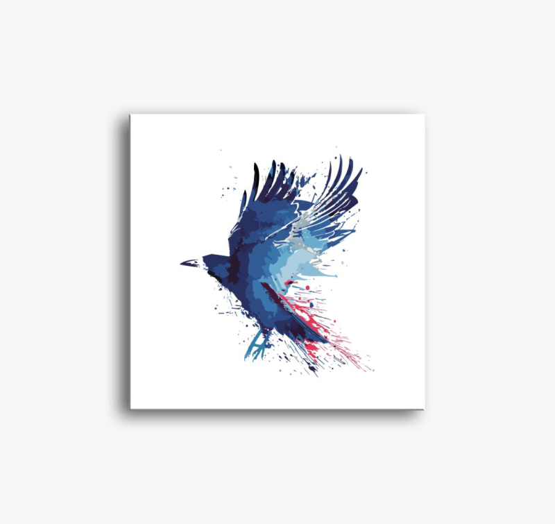 Splash crow slika na platnu