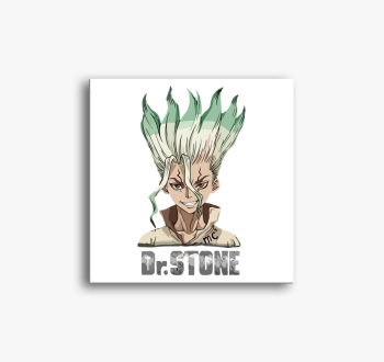 Dr Stone slika na pl