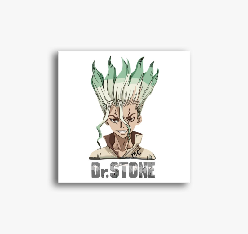 Dr Stone slika na platnu