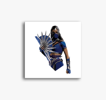 Mortal Kombat Kitana...