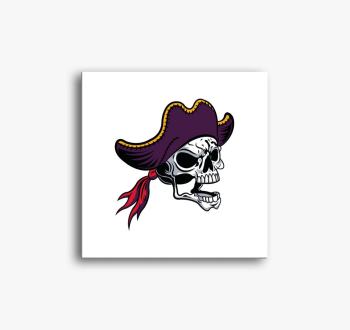 Pirate skull 5 slika na platnu