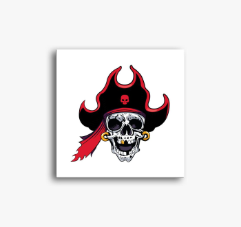 Pirate skull 7 slika