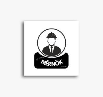 Inženir sem bennem s...