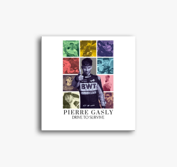 Pierre Gasly F1 slik...