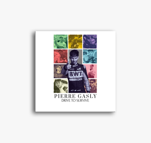 Pierre Gasly F1 slika na platn...