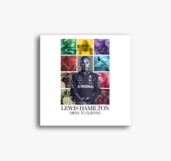 Lewis Hamilton F1 sl...
