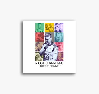 Nico F1 slika na pla