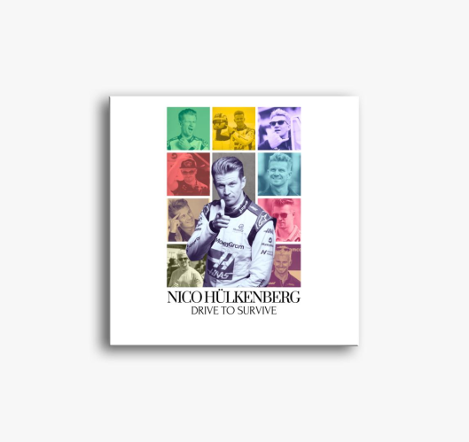 Nico F1 slika na platnu