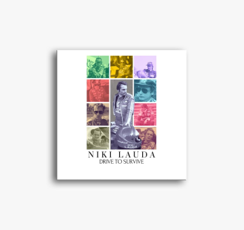 Niki Lauda F1 slika 