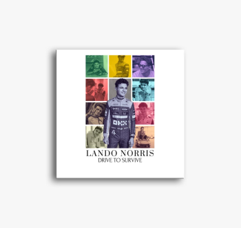 Lando Norris F1 slik...