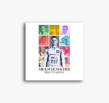 Michael Schumacher F...