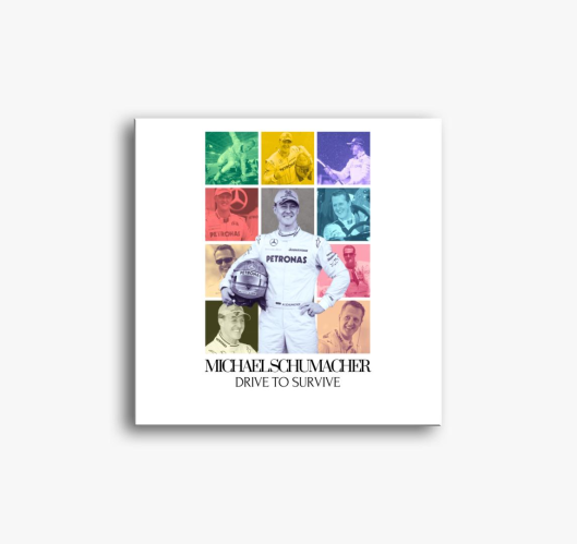 Mick Schumacher F1 slika na pl...