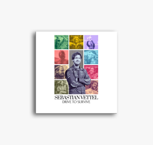 Sebastian Vettel F1 slika na p...