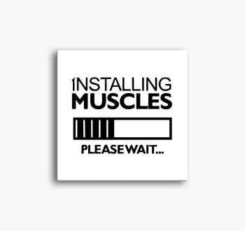 Installing muscles s...