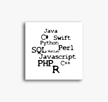 Programnyelvek slika na platnu