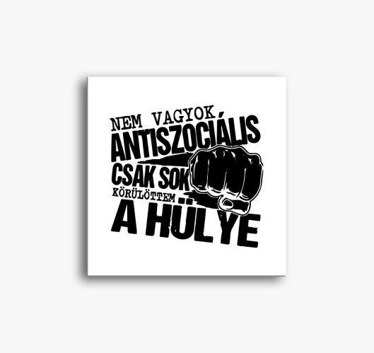 Ne sem slika na platnu