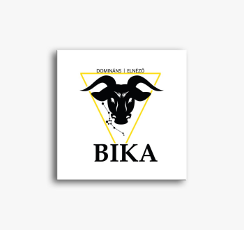 BIKA slika na platnu